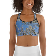 Load image into Gallery viewer, Serenity Sports bra