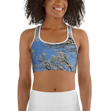 Load image into Gallery viewer, Serenity Sports bra