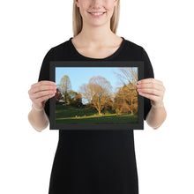 Load image into Gallery viewer, Framed A Walk in The Park matte paper poster