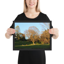 Load image into Gallery viewer, Framed A Walk in The Park matte paper poster