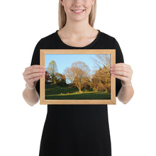 Load image into Gallery viewer, Framed A Walk in The Park matte paper poster