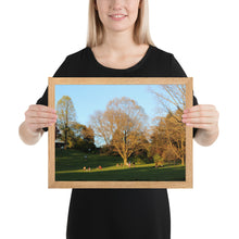 Load image into Gallery viewer, Framed A Walk in The Park matte paper poster