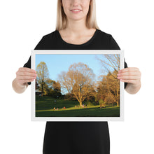 Load image into Gallery viewer, Framed A Walk in The Park matte paper poster