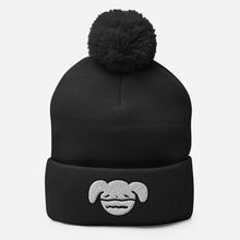Load image into Gallery viewer, Ryan's House Beanie
