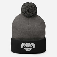 Load image into Gallery viewer, Ryan's House Beanie