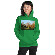 Load image into Gallery viewer, A Walk in The Park