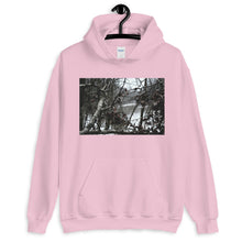 Load image into Gallery viewer, Focused