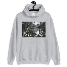 Load image into Gallery viewer, Focused