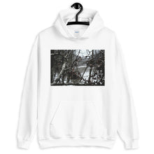 Load image into Gallery viewer, Focused