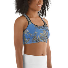 Load image into Gallery viewer, Serenity Sports bra
