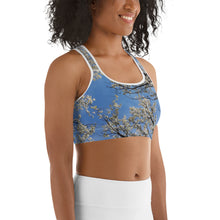 Load image into Gallery viewer, Serenity Sports bra
