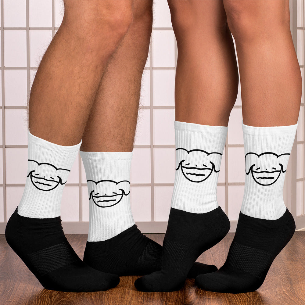 Ryan's House Socks