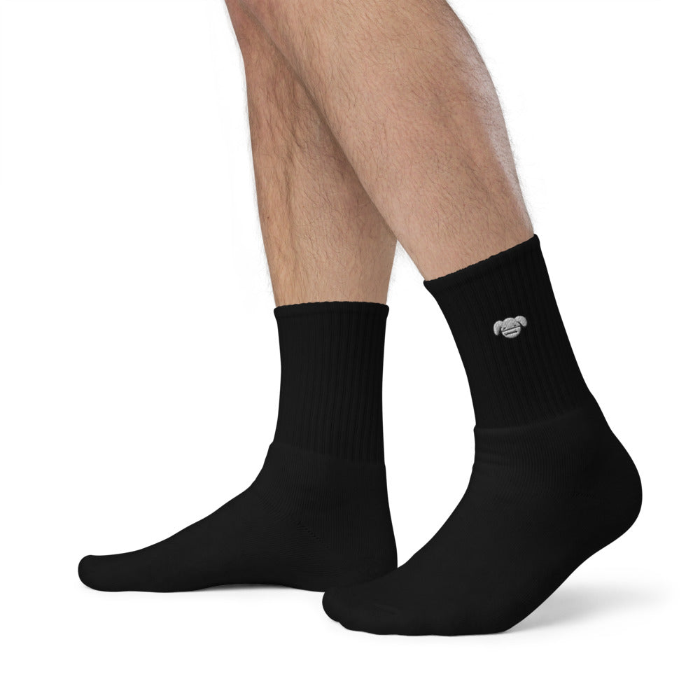 Ryan's House Embroidered socks