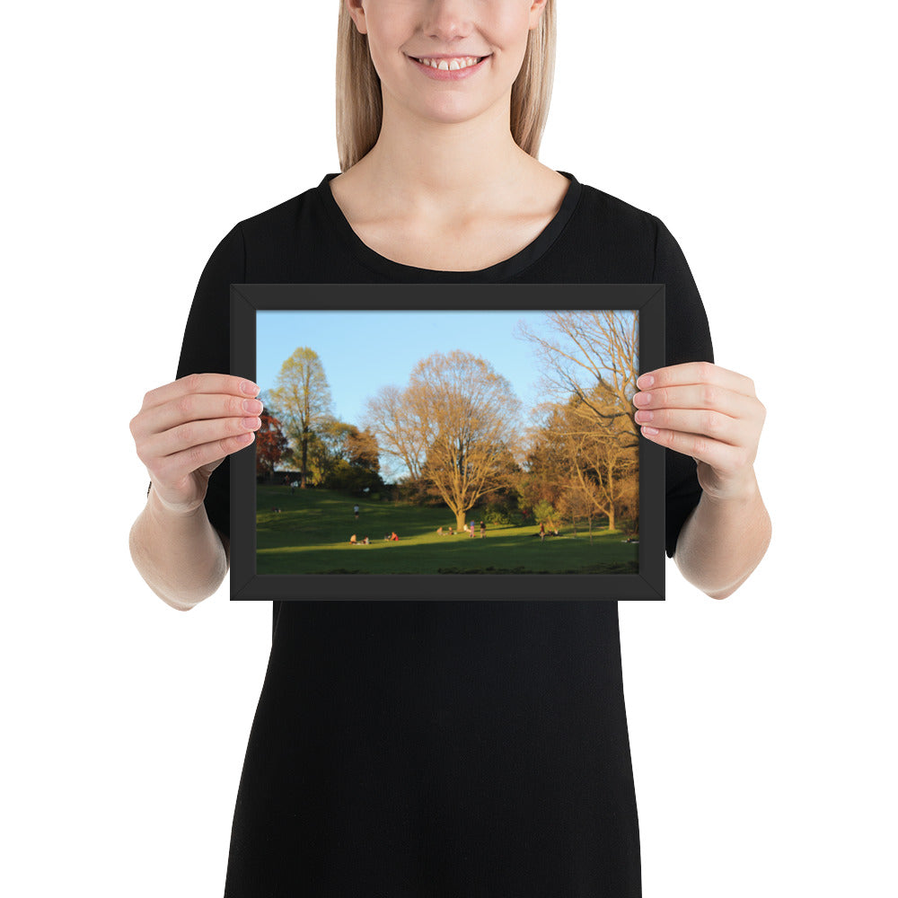 Framed A Walk in The Park matte paper poster