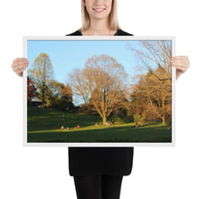 Load image into Gallery viewer, Framed A Walk in The Park matte paper poster

