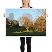 Load image into Gallery viewer, Framed A Walk in The Park matte paper poster
