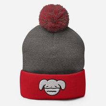 Load image into Gallery viewer, Ryan&#39;s House Beanie
