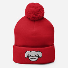 Load image into Gallery viewer, Ryan&#39;s House Beanie
