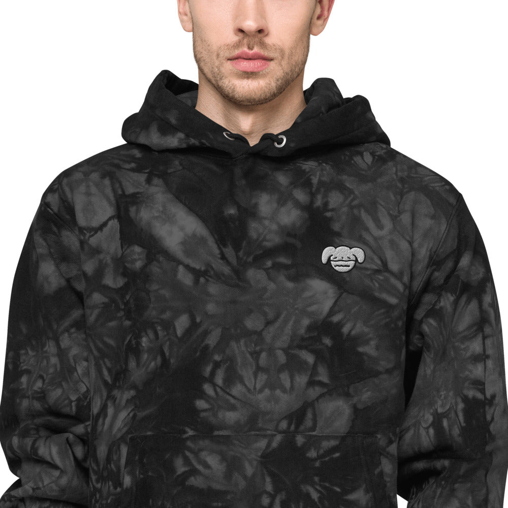 Ryan's House Champion hoodie