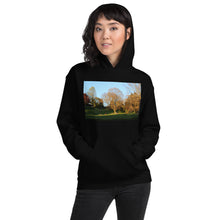 Load image into Gallery viewer, A Walk in The Park
