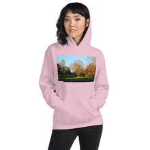 Load image into Gallery viewer, A Walk in The Park
