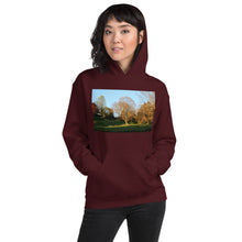 Load image into Gallery viewer, A Walk in The Park
