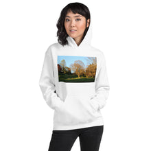 Load image into Gallery viewer, A Walk in The Park
