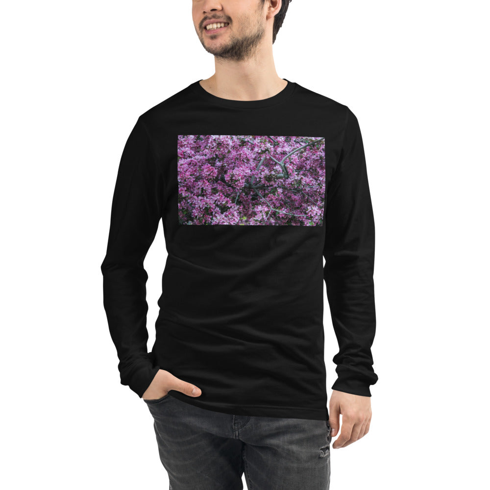 Cherry Blossom Dreams