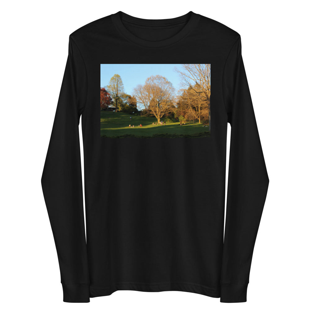 A Walk in The Park