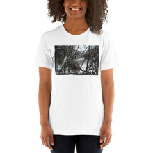 Load image into Gallery viewer, Focused
